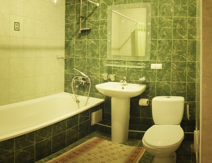 Полулюкс 2-местный 2-комнатный корпус  В - Гостевой дом «Фламинго» Алушта