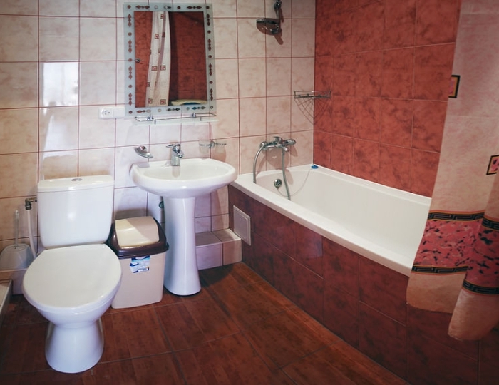 Полулюкс 2-местный 2-комнатный корпус  В - Гостевой дом «Фламинго» Алушта