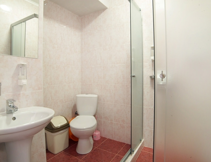 Стандарт 2-местный корпус А,Б - Гостевой дом «Фламинго» Алушта